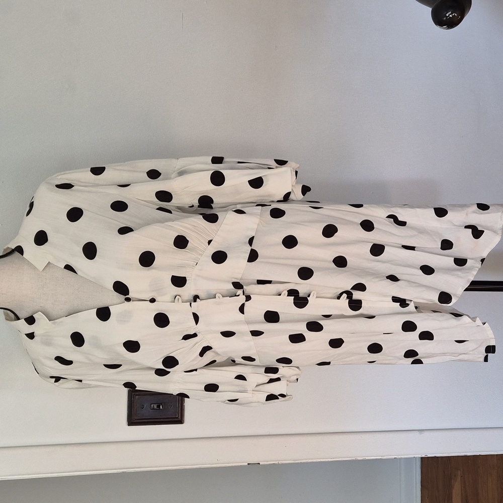 Polka Dot Button-Up Dress